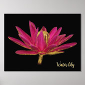 Folie Water Lily Print Poster (Voorkant)