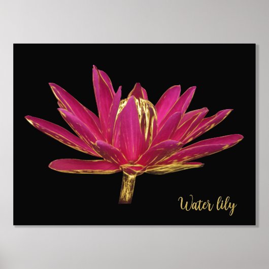 Folie Water Lily Print Poster (Voorkant)