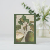 Foliumhoudende vruchtendraan briefkaart (Staand voorkant)