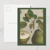Foliumhoudende vruchtendraan briefkaart (Voorkant / Achterkant)