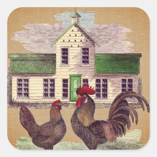 Folk Art Farmyard Kippen Rustiek Ontwerp Vierkante Sticker (Voorkant)