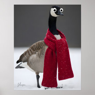 Folle Gans met Rode Sjaal Winter Persoonlijk  Poster