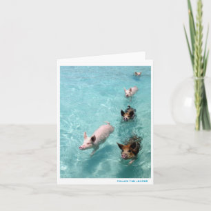 Follow the Leader Kaart