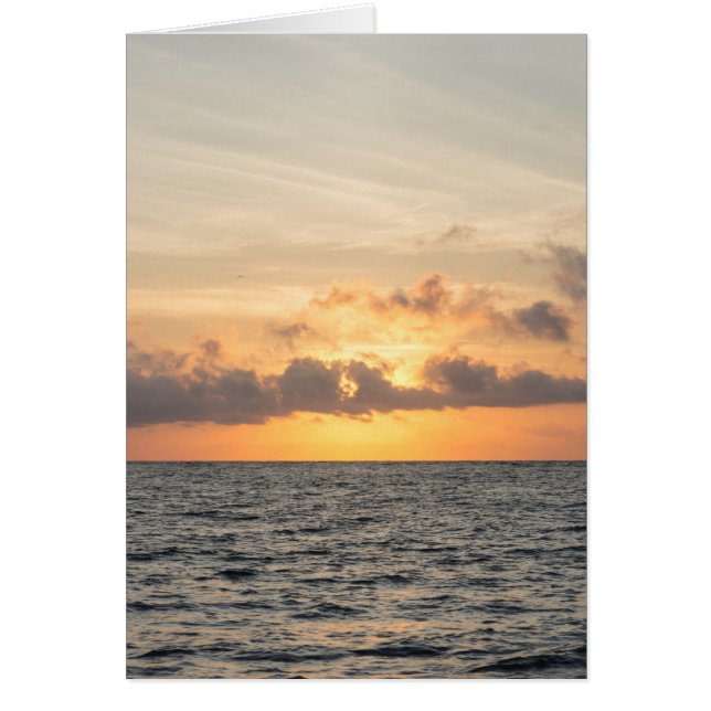 Folly Beach Morning (Voorkant)