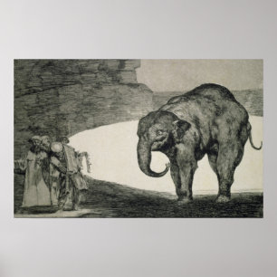 Folly of Beasts Poster