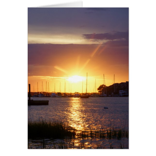 Folly River Sunrays (Voorkant)