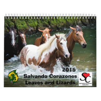 Fonds Raiser Calendar Salvando Corazones 2015 Kalender