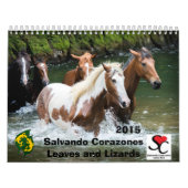 Fonds Raiser Calendar Salvando Corazones 2015 Kalender (Hoes)