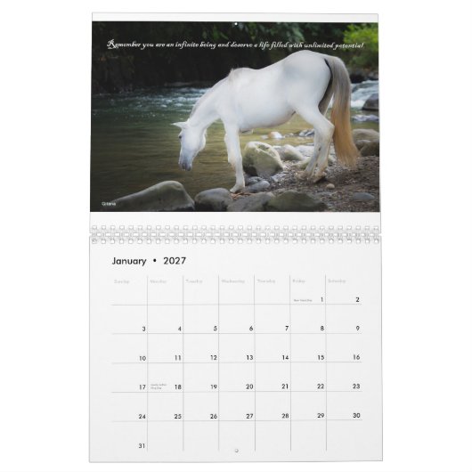 Fonds Raiser Calendar Salvando Corazones 2015 Kalender (Jan 2027)