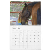Fonds Raiser Calendar Salvando Corazones 2015 Kalender (Feb 2027)