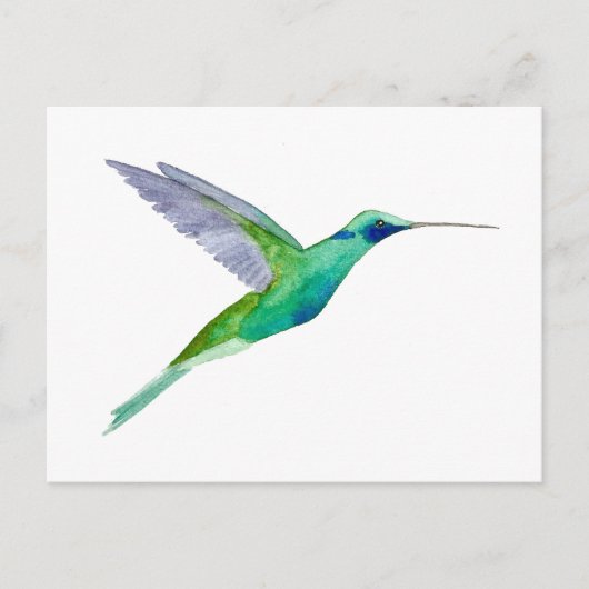 Fonkelende Violetoorkolibrie Briefkaart (Voorkant)