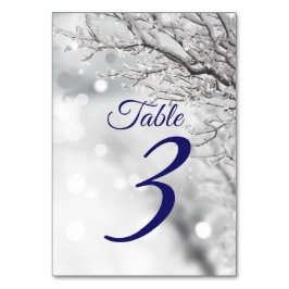 Fonkelende winter sneeuw & ijs bruiloft kaart