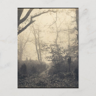 Fontainebleau Forest Briefkaart