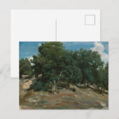 Fontainebleau Oak Trees Briefkaart (Voorkant / Achterkant)