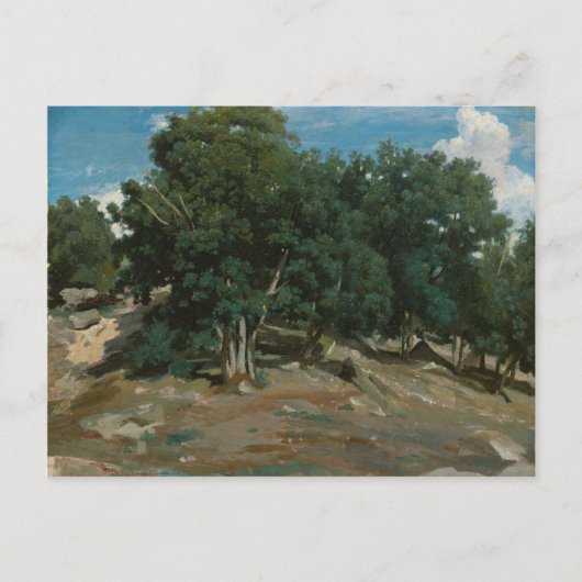 Fontainebleau Oak Trees Briefkaart (Voorkant)