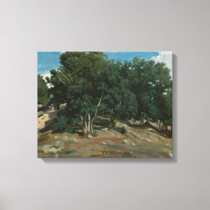 Fontainebleau Oak Trees Canvas Afdruk