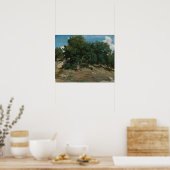 Fontainebleau Oak Trees Poster (Keuken)