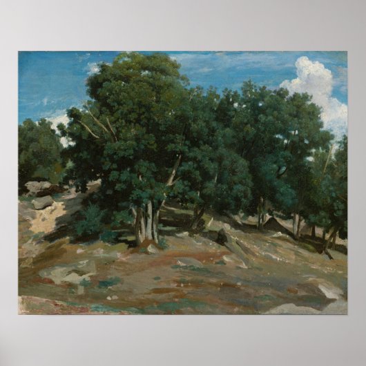Fontainebleau Oak Trees Poster (Voorkant)