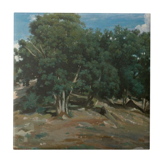 Fontainebleau Oak Trees Tegeltje (Voorkant)