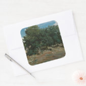 Fontainebleau Oak Trees Vierkante Sticker (Envelop)