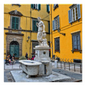 Fontana della Pupporona, Lucca, Italië Poster (Voorkant)