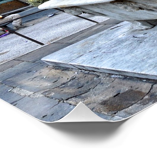 Fontana della Pupporona, Lucca, Italië Poster (Hoek)