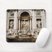 Fontana Di Trevi Muismat (Met muis)