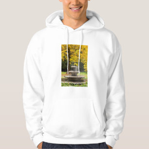 Fontein bij een boom in de herfst, Duitsland Hoodie