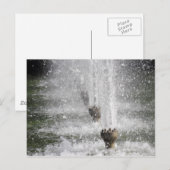 fontein briefkaart (Voorkant / Achterkant)