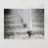 fontein briefkaart (Voorkant)