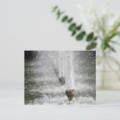 fontein briefkaart (Staand voorkant)