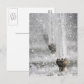 fontein briefkaart (Voorkant / Achterkant)