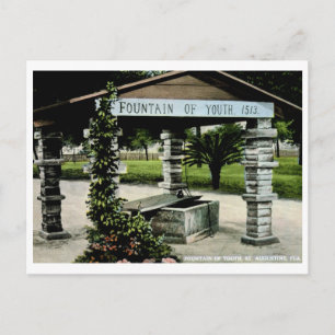 Fontein de Youth, St. Augustine, FL  Briefkaart