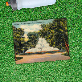 Fontein in Forsyth Park Savannah GA Historisch Briefkaart