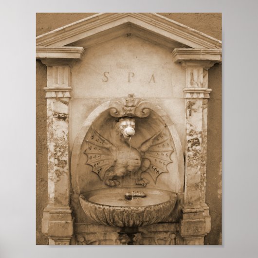 fontein in Rome Poster (Voorkant)