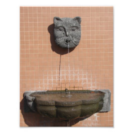 Fontein met katten op het plein foto afdruk