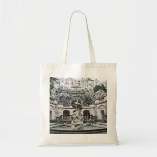 fontein met Neptunstandbeeld in Praag Tote Bag