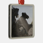 fontein, monument des Girondins, Bordeaux; Metalen Ornament (Rechts)