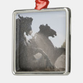 fontein, monument des Girondins, Bordeaux; Metalen Ornament (Links)