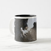 fontein, monument des Girondins, Bordeaux; Tweekleurige Koffiemok (Voorkant links)