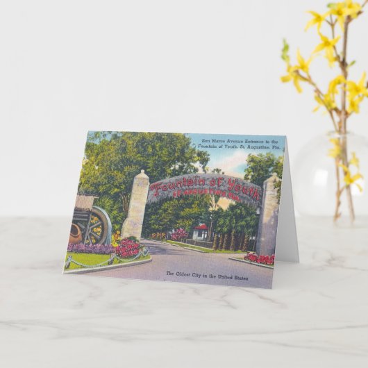 fontein of Youth Kaart (Gele Bloem)