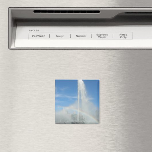 fontein op het punt magneet (Insitu (Vaatwasser))