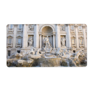 Fontein van Trevi Etiket