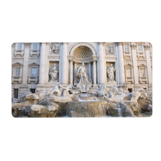 Fontein van Trevi Etiket (Voorkant)