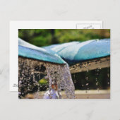 fonteinen in het Birch aquarium in La Jolla Briefkaart (Voorkant / Achterkant)