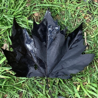 Food and Beverage Label Set . Wijn Etiket