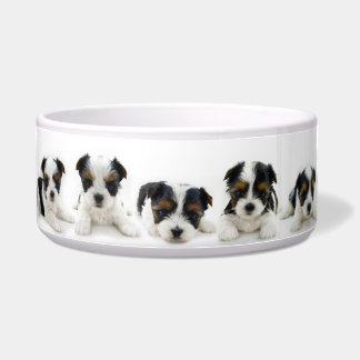 Food Bowl - Biewer Terrier Puppy Voerbakje