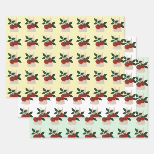 Foodliefhebbers van inpakpapier — Schorten en toma (Set)