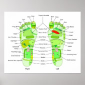 Foot Acupressdiagram Poster (Voorkant)