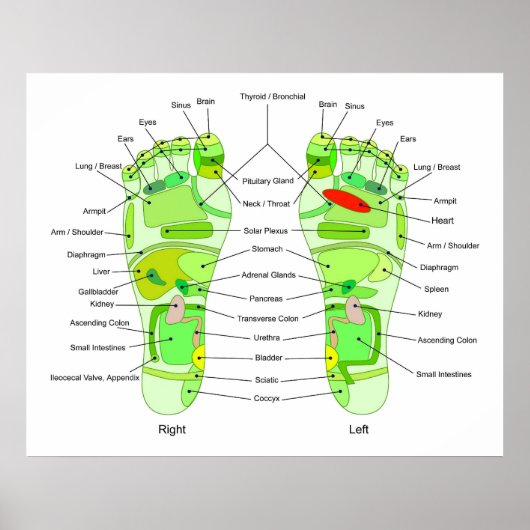 Foot Acupressdiagram Poster (Voorkant)